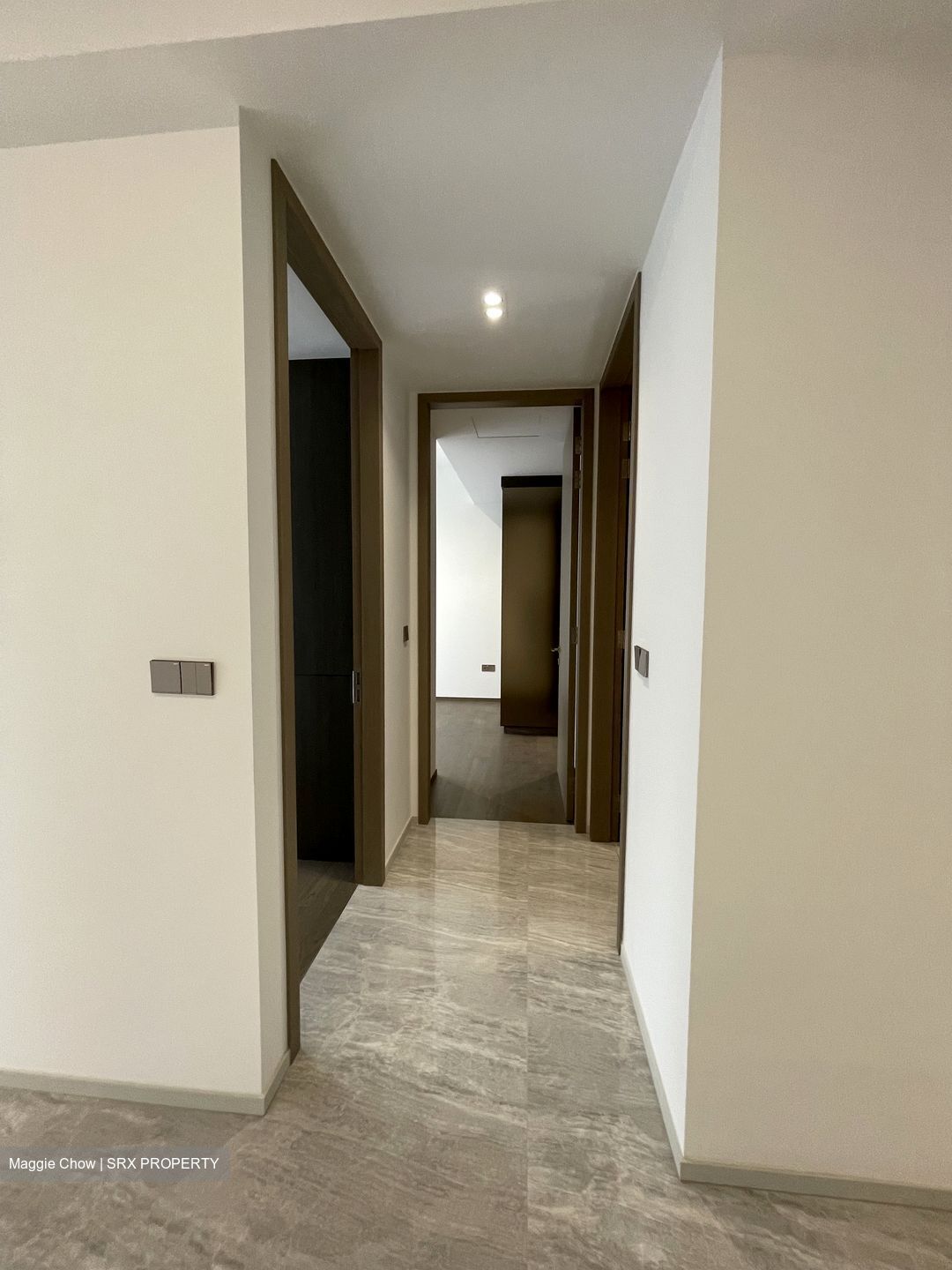 Leedon Green (D10), Condominium #432216621